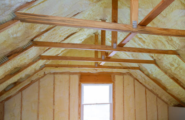 Best Commercial Insulation in Pahoa, HI