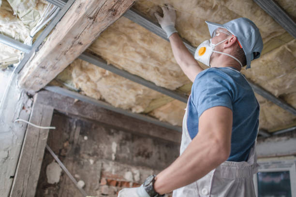 Professional Insulation Contractor in HI