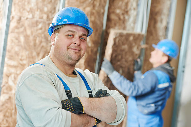Best Residential Insulation in Pahoa, HI