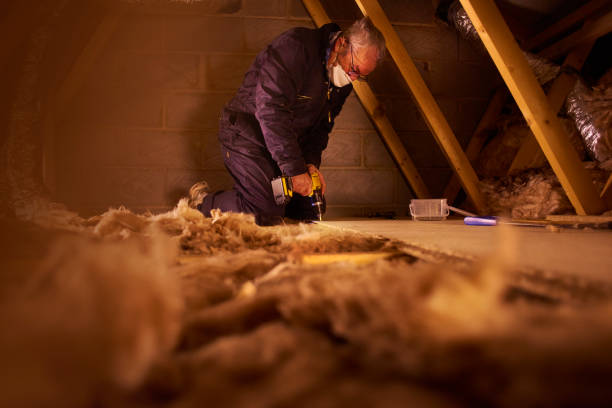 Best Residential Insulation in Pahoa, HI